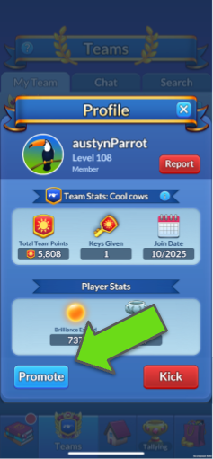 These buttons appear only for Leaders and Co-Leaders