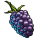 Blackberry